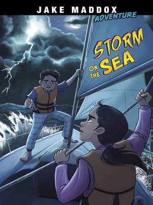 cover image of Storm on the Sea